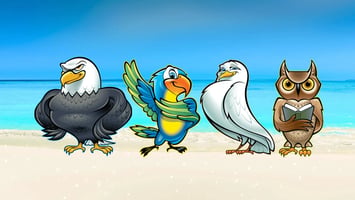 A DISC Guide to Summer Fun for Each Bird Style
