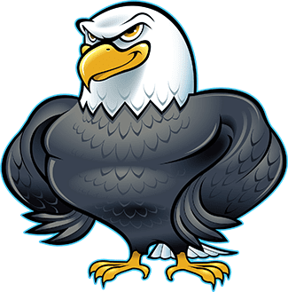 Introducing the Birds Model: An Elevation of the DISC Model