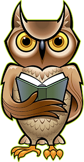 Introducing the Birds Model: An Elevation of the DISC Model