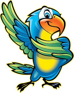 Introducing the Birds Model: An Elevation of the DISC Model